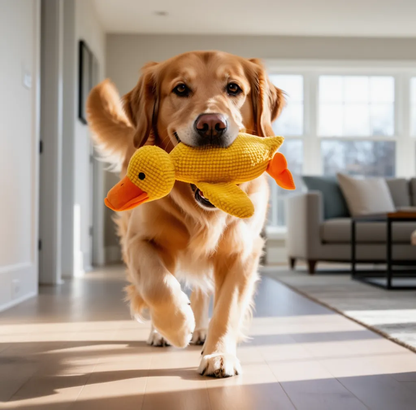 CalmiQuack